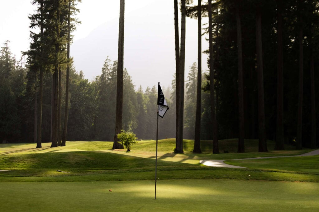 A golf flag stands in the center of a green, surrounded by tall trees with sunlight filtering through the forest.