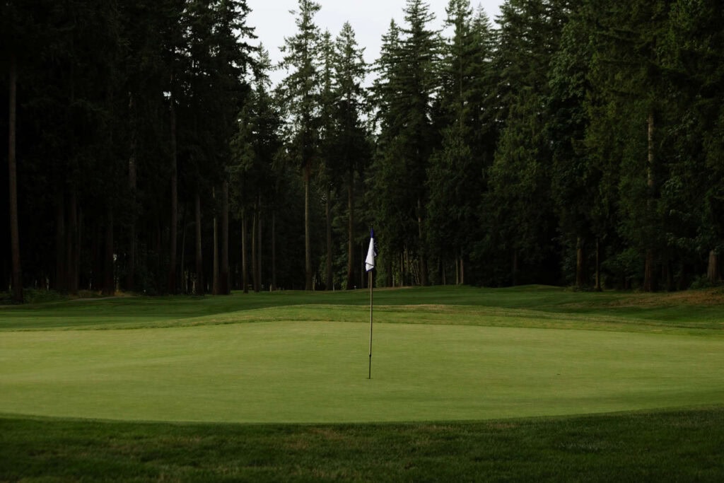 A golf flag is placed in the center of a green, surrounded by trees on a golf course under a cloudy sky.